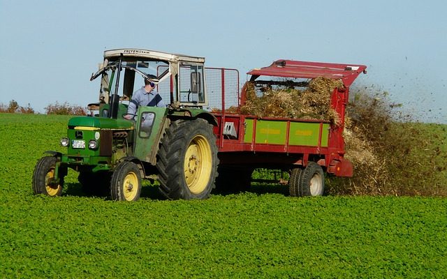 Comment utiliser le fumier de cheval comme engrais de jardin