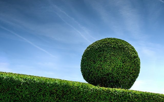 Idées de jardin avec la boîte de couverture de boîte