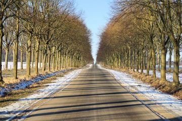 Installations pour la stabilisation des pentes