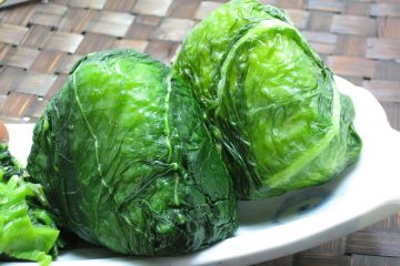 Quelle est la hauteur d'une plante de moutarde ?