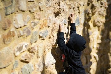 Quels facteurs dans l'environnement affectent l'enfant en pleine croissance ?