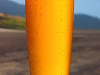 Quels sont les avantages de la levure de bière pour les cheveux ?