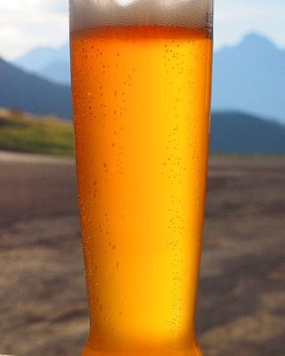 Quels sont les avantages de la levure de bière pour les cheveux ?