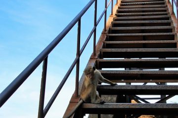 Comment installer une rampe d'escalier