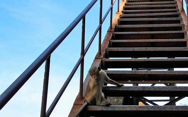 Comment installer une rampe d'escalier