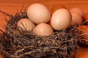 Comment résoudre les problèmes de cuisson du riz