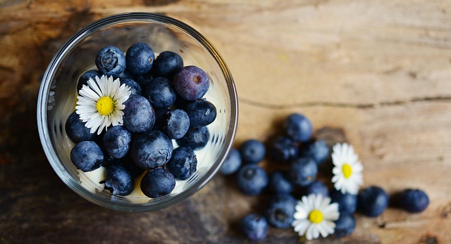 Quand est la saison de la cueillette des bleuets ?