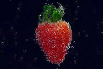 Quels sont les types de fraises ?