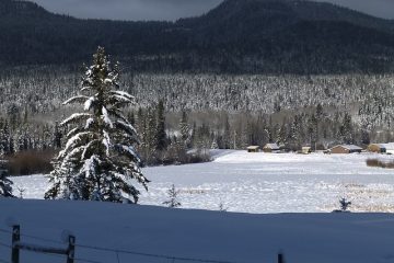 Centres de villégiature naturistes dans l'État de Washington