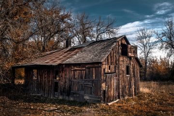 Comment construire une cabane à ossature de bois