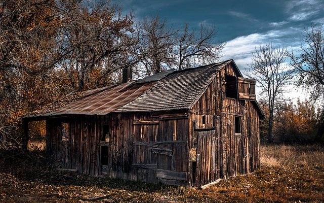 Comment construire une cabane à ossature de bois