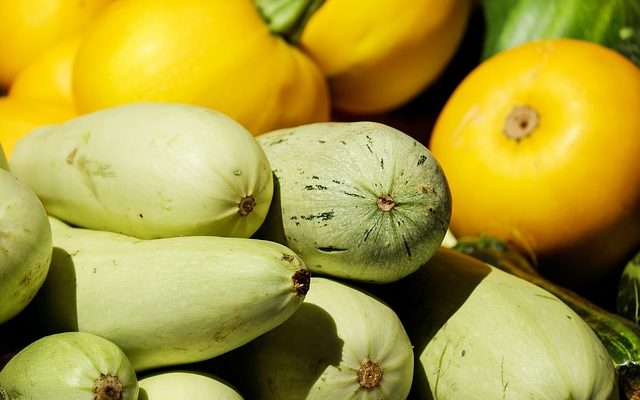 Comment cuire des courgettes à la vapeur dans un four à micro-ondes