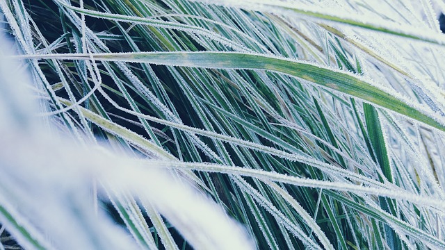 Comment faire le glaçage de l'herbe