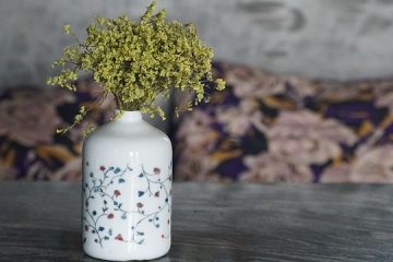 Comment faire un aquarium à l'aide de grands vases en verre