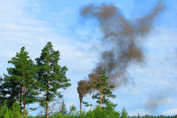 Comment nettoyer un conduit de cheminée