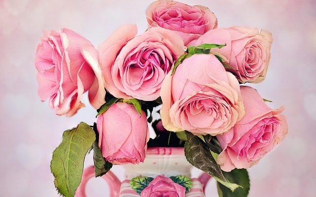 Différents types de fleurs de rose