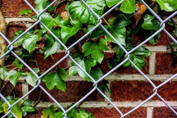 Idées pour cacher un mur extérieur en briques