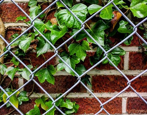 Idées pour cacher un mur extérieur en briques