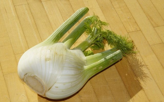 Quelle profondeur pour planter des bulbes de bégonia ?