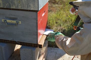 Aliments à éviter lorsqu'on suit un régime à faible teneur en oxalate.