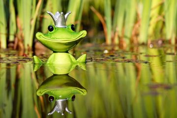 Comment accrocher un miroir sur un carreau de céramique