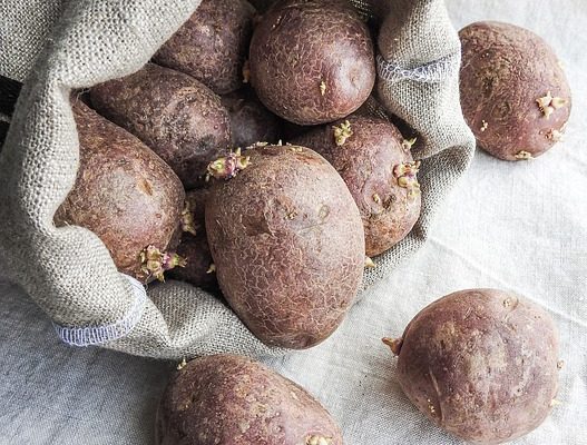 Comment éviter que les pommes de terre pelées ne deviennent noires