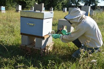 Comment mélanger l'acide oxalique