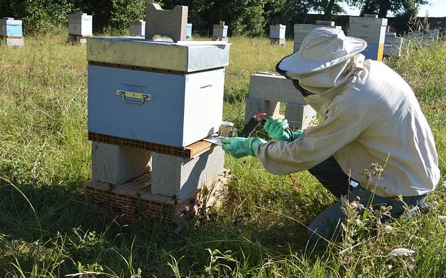 Comment mélanger l'acide oxalique