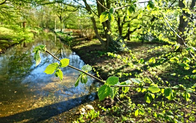 Comment rembourrer une chaise à dossier de canal