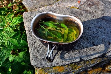 Comment remplacer la rondelle d'un robinet d'arrêt d'eau d'une toilette ?