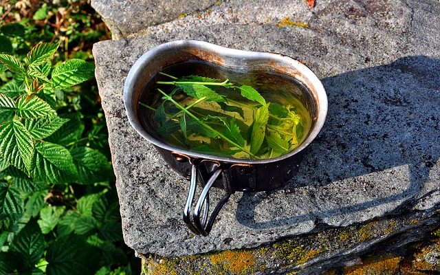 Comment remplacer la rondelle d'un robinet d'arrêt d'eau d'une toilette ?