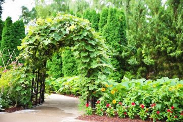 Comment réparer une pergola inclinée