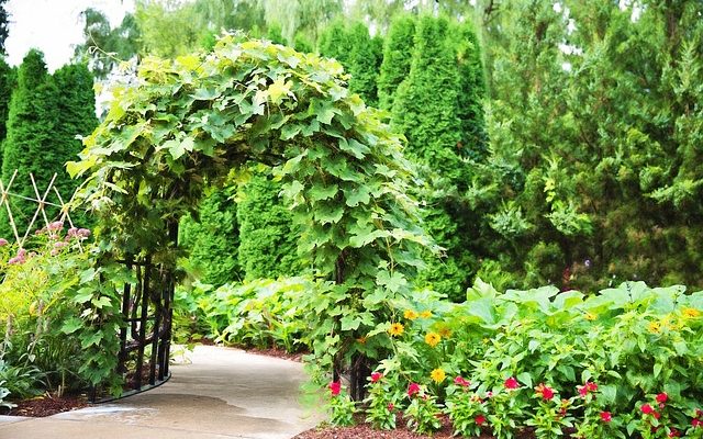 Comment réparer une pergola inclinée