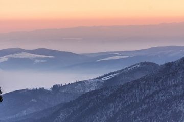 Comment sceller les planchers de bois d'ingénierie