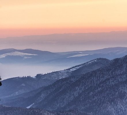 Comment sceller les planchers de bois d'ingénierie