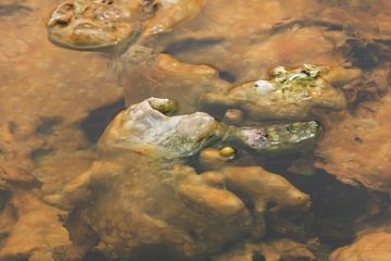 Comment teindre le béton avec du sulfate de fer