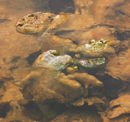 Comment teindre le béton avec du sulfate de fer