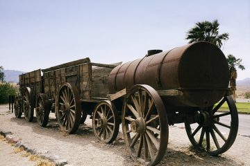 Comment utiliser les mélanges de borax pour tuer les fourmis