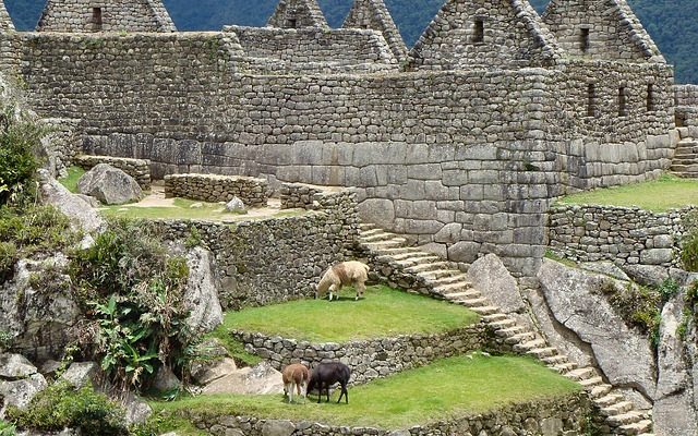 Cougars dans les mythes incas