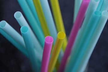 Feuilles de plastique noir pour tuer les mauvaises herbes du jardin