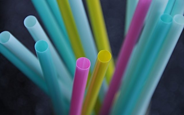 Feuilles de plastique noir pour tuer les mauvaises herbes du jardin