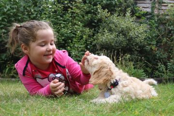 Les cockapoos sont-ils bons avec les enfants ?