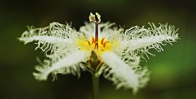 Petit étang de jardin idées de jardin d'eau