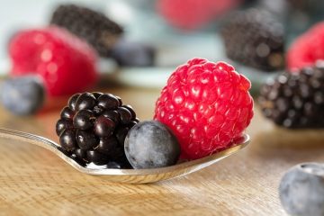 Plantes de framboises blanches sauvages