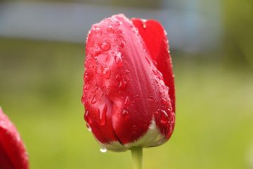 Que se passera-t-il si je prends une douche 3 heures après avoir vaporisé le bronzage ?