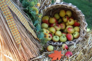 Vitamines pour les femmes de plus de 40 ans