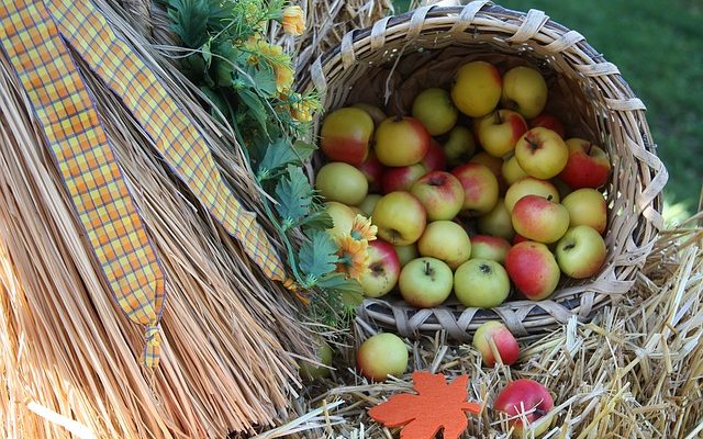 Vitamines pour les femmes de plus de 40 ans