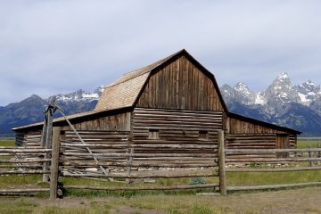 Combien coûte une clôture en bois ?