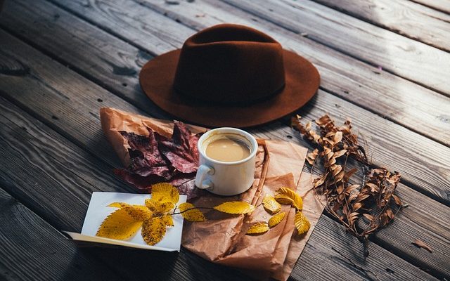 Comment faire des chapeaux de feuilles de palmier