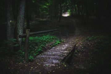 Comment faire un petit pont solide avec 15 bâtons de bois minces et de la colle à bois.